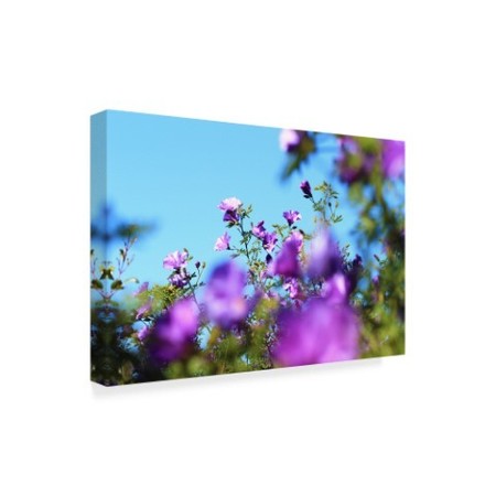 Trademark Fine Art Incredi 'Blurred Purple Flowers' Canvas Art, 16x24 ALI36021-C1624GG